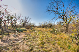 11069 County Road 1445 (16)