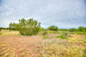 583 Cox Road (39)