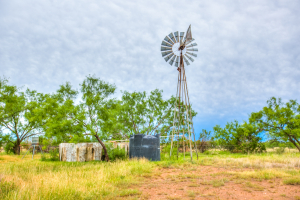 583 Cox Road (40)