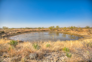 11069 County Road 1445 (48)