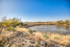 11069 County Road 1445 (49)