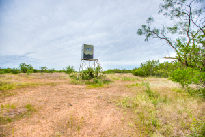 583 Cox Road (50)