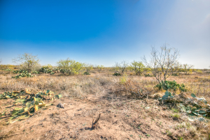 11069 County Road 1445 (53)