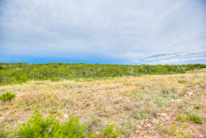 583 Cox Road (54)