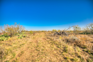 11069 County Road 1445 (54)