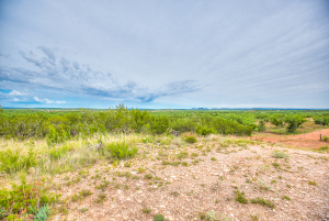 583 Cox Road (55)