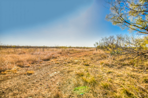 11069 County Road 1445 (55)