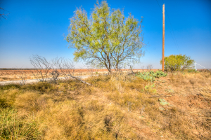 11069 County Road 1445 (56)