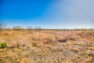 11069 County Road 1445 (57)