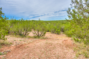 583 Cox Road (58)