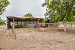 7601 Rychlik Ranch Road (7)