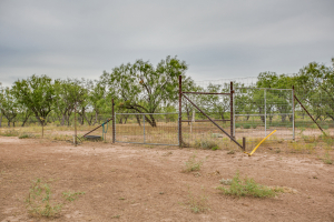 7601 Rychlik Ranch Road (9)