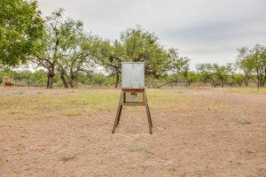 7601 Rychlik Ranch Road (10)