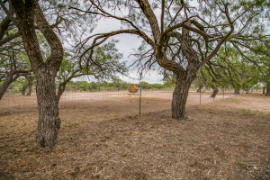 7601 Rychlik Ranch Road (23)