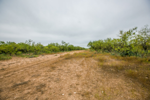 7601 Rychlik Ranch Road (25)