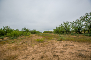 7601 Rychlik Ranch Road (26)