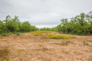 7601 Rychlik Ranch Road (27)