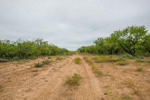 7601 Rychlik Ranch Road (28)