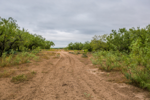 7601 Rychlik Ranch Road (32)