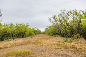 7601 Rychlik Ranch Road (35)