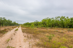 7601 Rychlik Ranch Road (36)