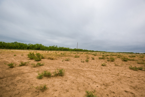 7601 Rychlik Ranch Road (39)