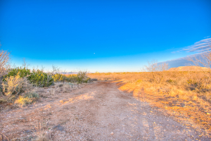 326 Mienenlle Road (4)