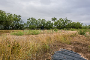 7601 Rychlik Ranch Road (51)