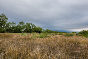 7601 Rychlik Ranch Road (53)