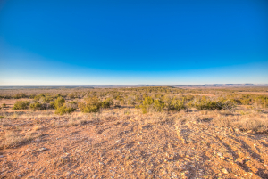 326 Mienenlle Road (12)