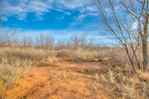 326 Mienenlle Road (36)