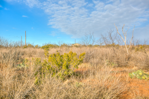 326 Mienenlle Road (37)