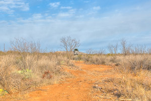 326 Mienenlle Road (38)