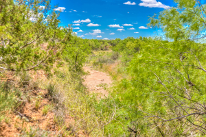 Cox Rd (10)