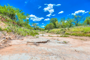 Cox Rd (11)