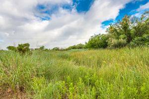 FM 229 and Hwy 158 (7)