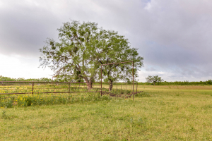 FM 229 and Hwy 158 (20)