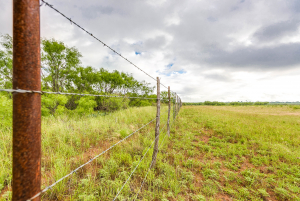 FM 229 and Hwy 158 (21)