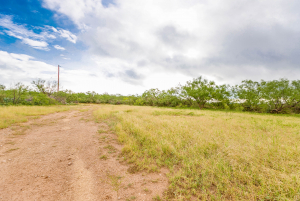 FM 229 and Hwy 158 (26)