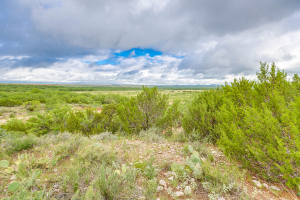 FM 229 and Hwy 158 (37)