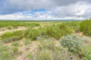 FM 229 and Hwy 158 (38)