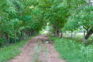 FM 229 and Hwy 158 (41)