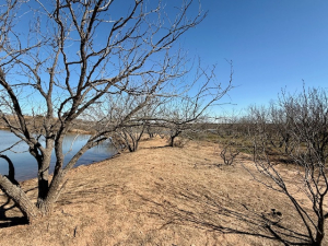 Hwy 36 (58)