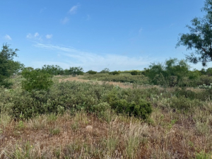 Gas Plant Rd (7)