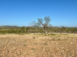 350 Matapeak Rd (8)