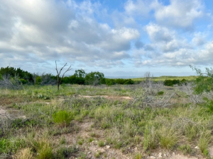 Gas Plant Rd (8)