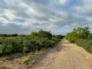 Gas Plant Rd (9)