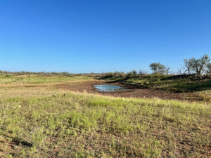 350 Matapeak Rd (10)