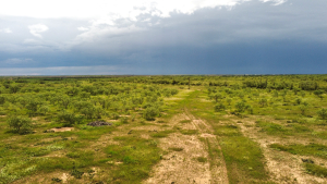 1818 County Road 267 (6)