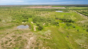 1818 County Road 267 (9)
